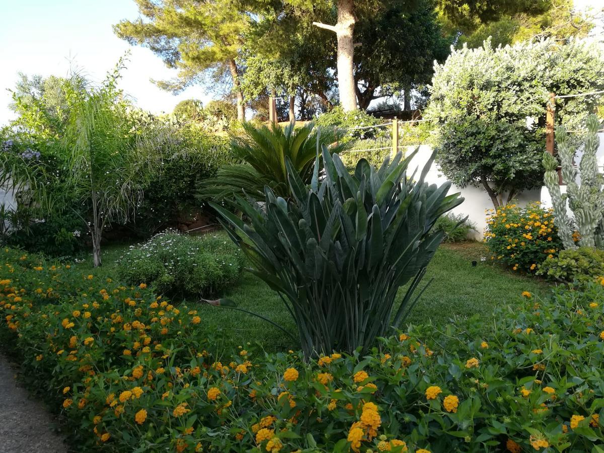 Bed and Breakfast Bianco Sale Trapani Rilievo Exterior foto
